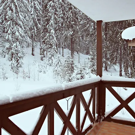 Hotel Mursalitsa By Hmg 3*