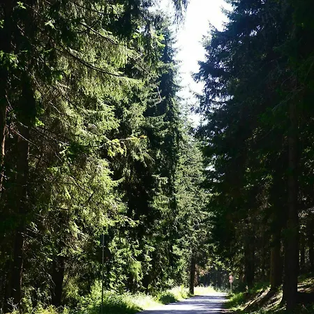 Mursalitsa By Hmg 3* Pamporovo